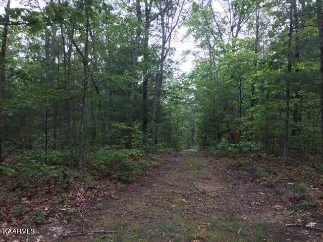 Tellico Plains, TN 37385,1.92 acre Utah Rd