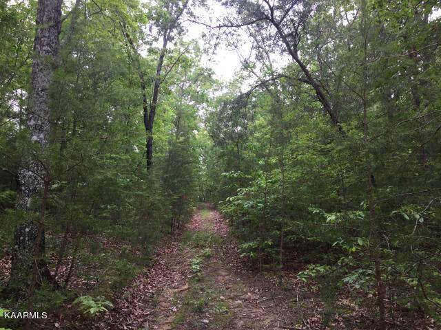 Tellico Plains, TN 37385,1.92 acre Utah Rd