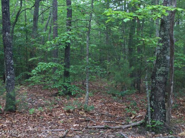 Tellico Plains, TN 37385,1.92 acre Utah Rd