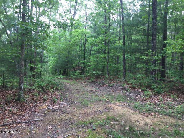 Tellico Plains, TN 37385,1.92 acre Utah Rd