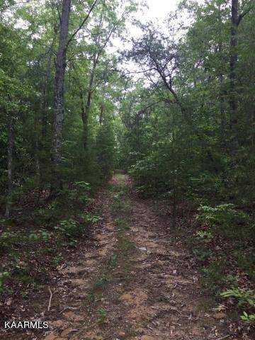 Tellico Plains, TN 37385,1.92 acre Utah Rd