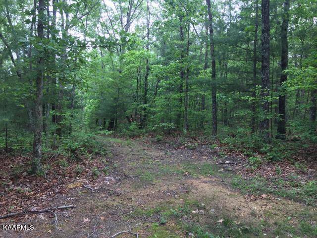 Tellico Plains, TN 37385,1.92 acre Utah Rd