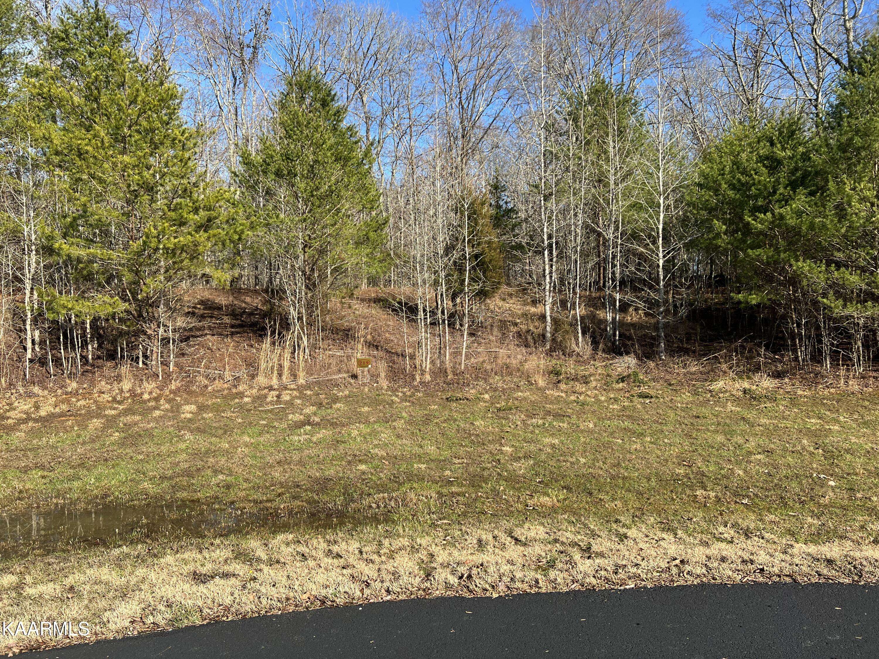 Rockwood, TN 37854,Star Ln, Lot 219