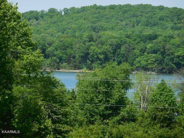 Rockwood, TN 37854,Star Ln, Lot 219