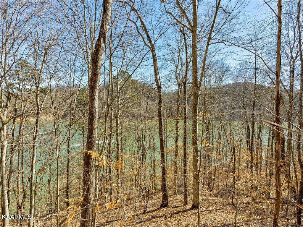 New Tazewell, TN 37825,Lot 35 Mountain Shores Rd