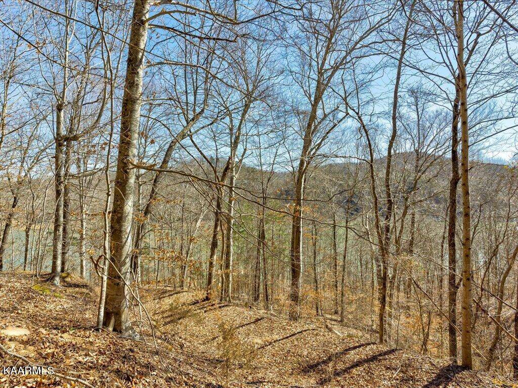 New Tazewell, TN 37825,Lot 35 Mountain Shores Rd