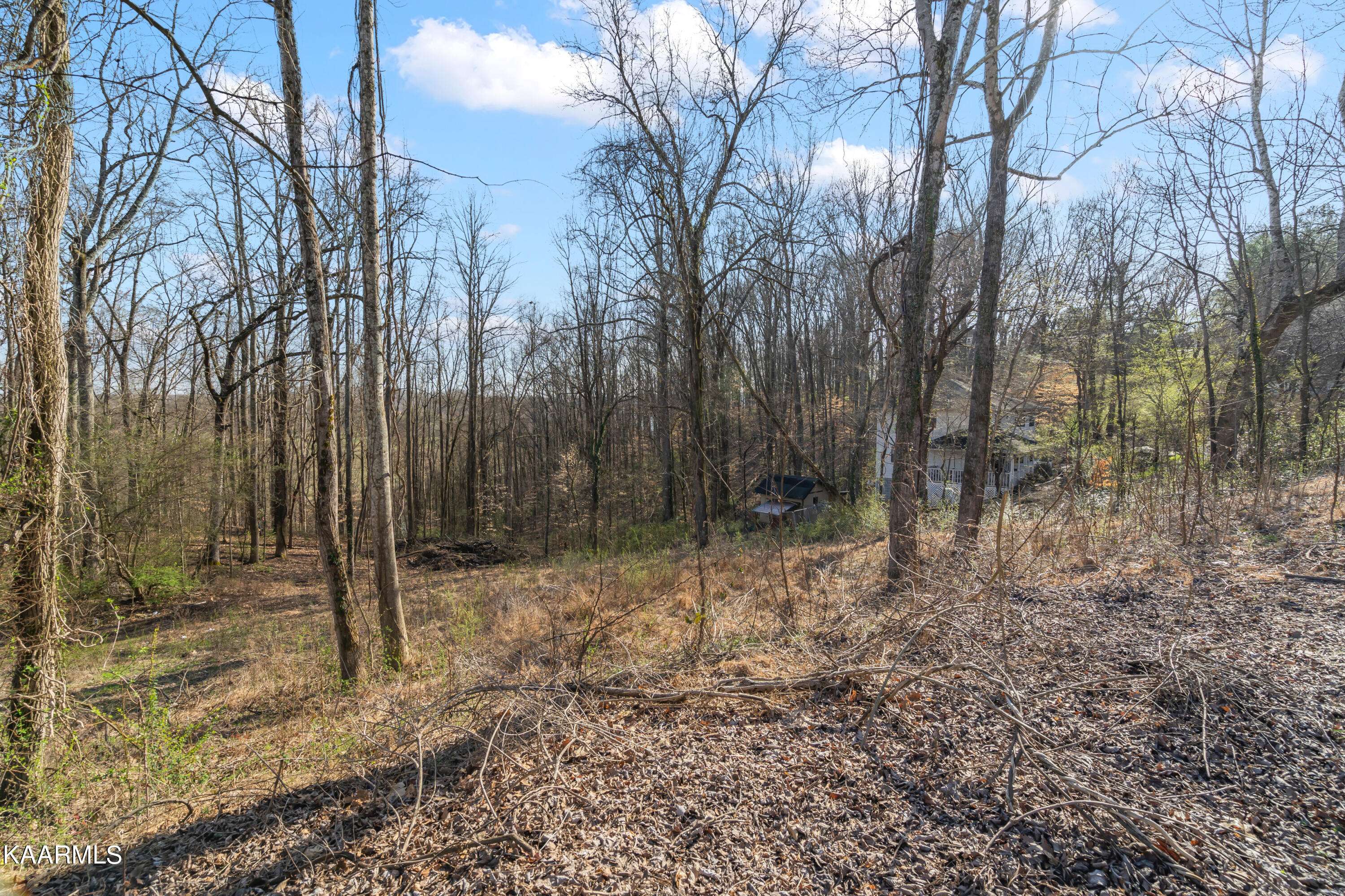 Clinton, TN 37716,126 Ridge LN