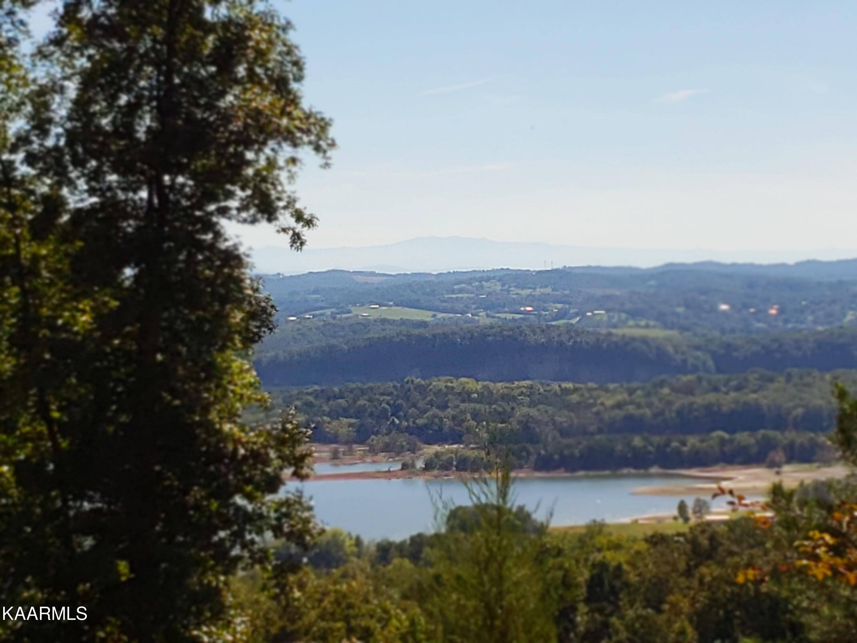 Mooresburg, TN 37811,Lot 217 Pinnacle PT