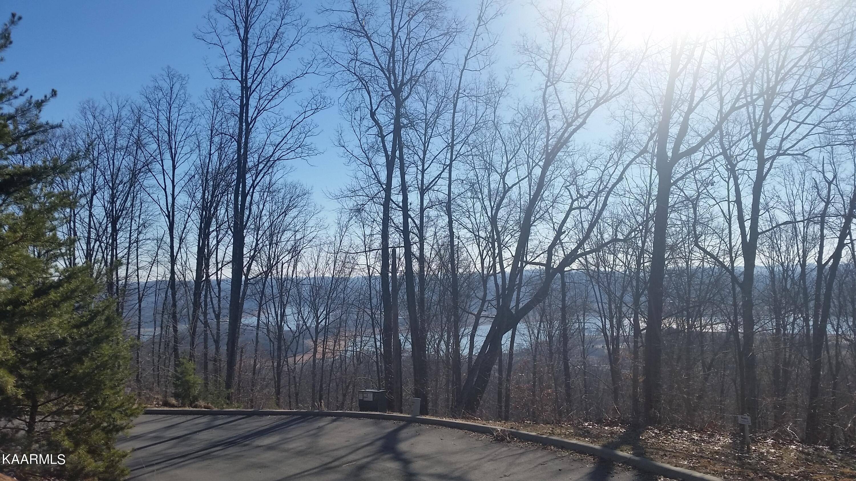 Mooresburg, TN 37811,Lot 217 Pinnacle PT