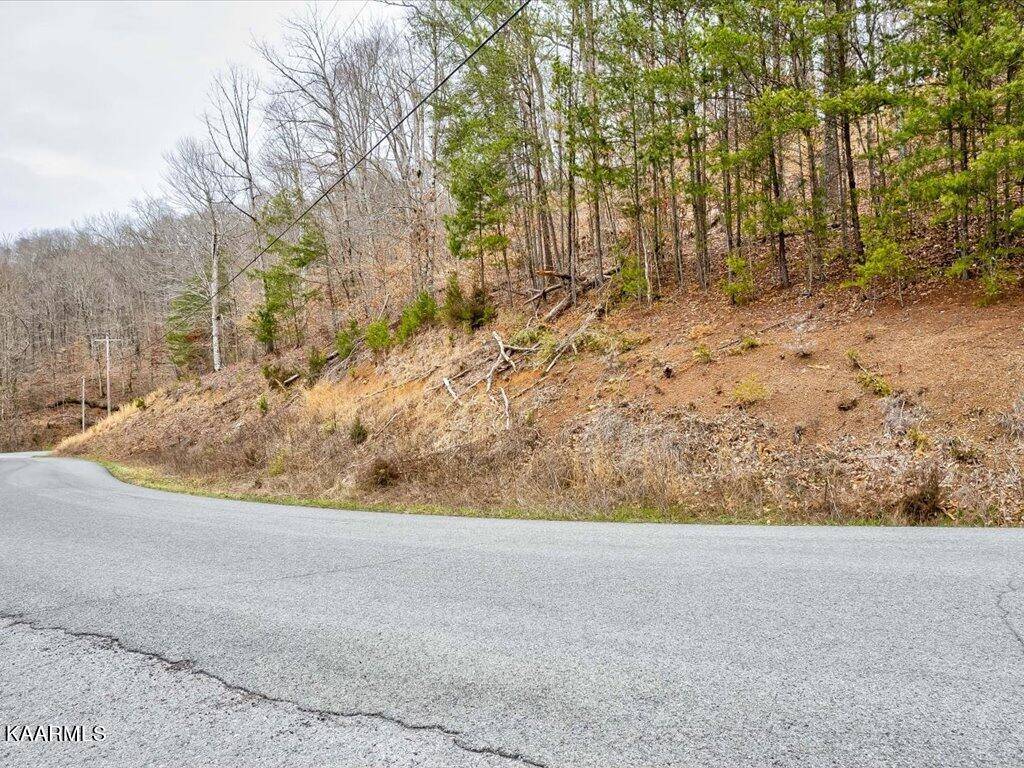 New Tazewell, TN 37825,Lot 23 Mountain Shores Rd