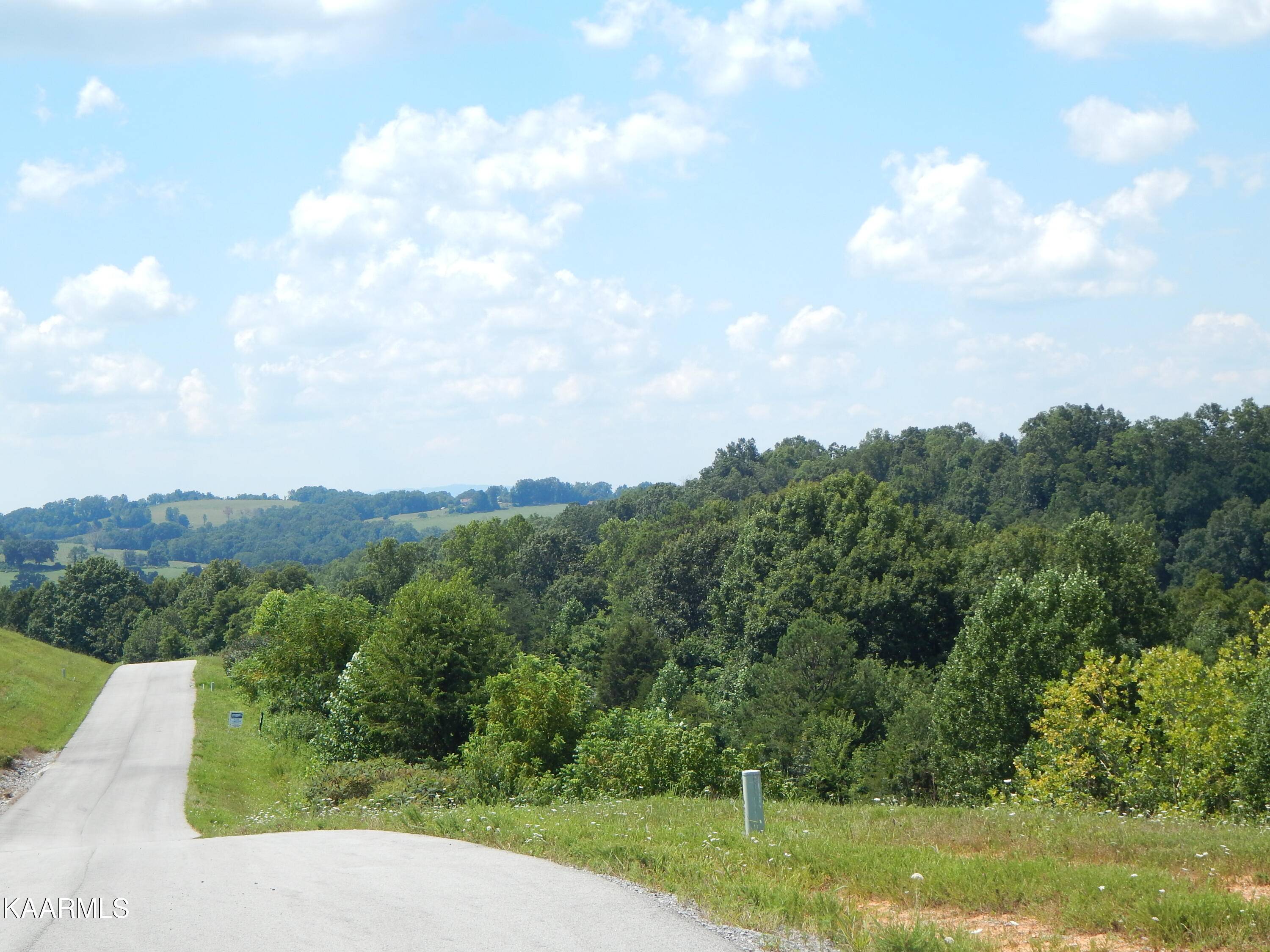 New Tazewell, TN 37825,Lot 254 Marble Point WAY