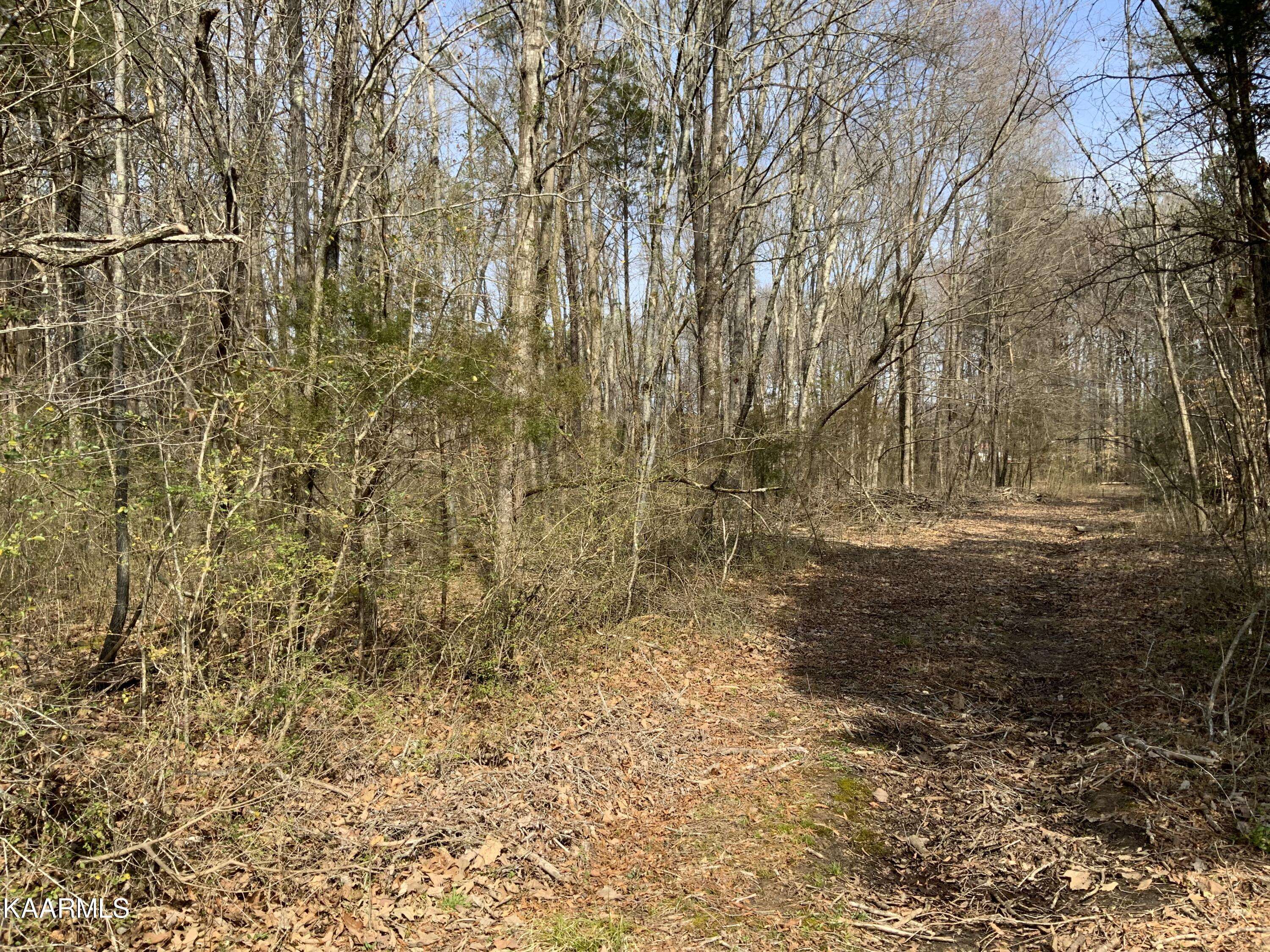 Ten Mile, TN 37880,15.57 Acre State Hwy 58 N