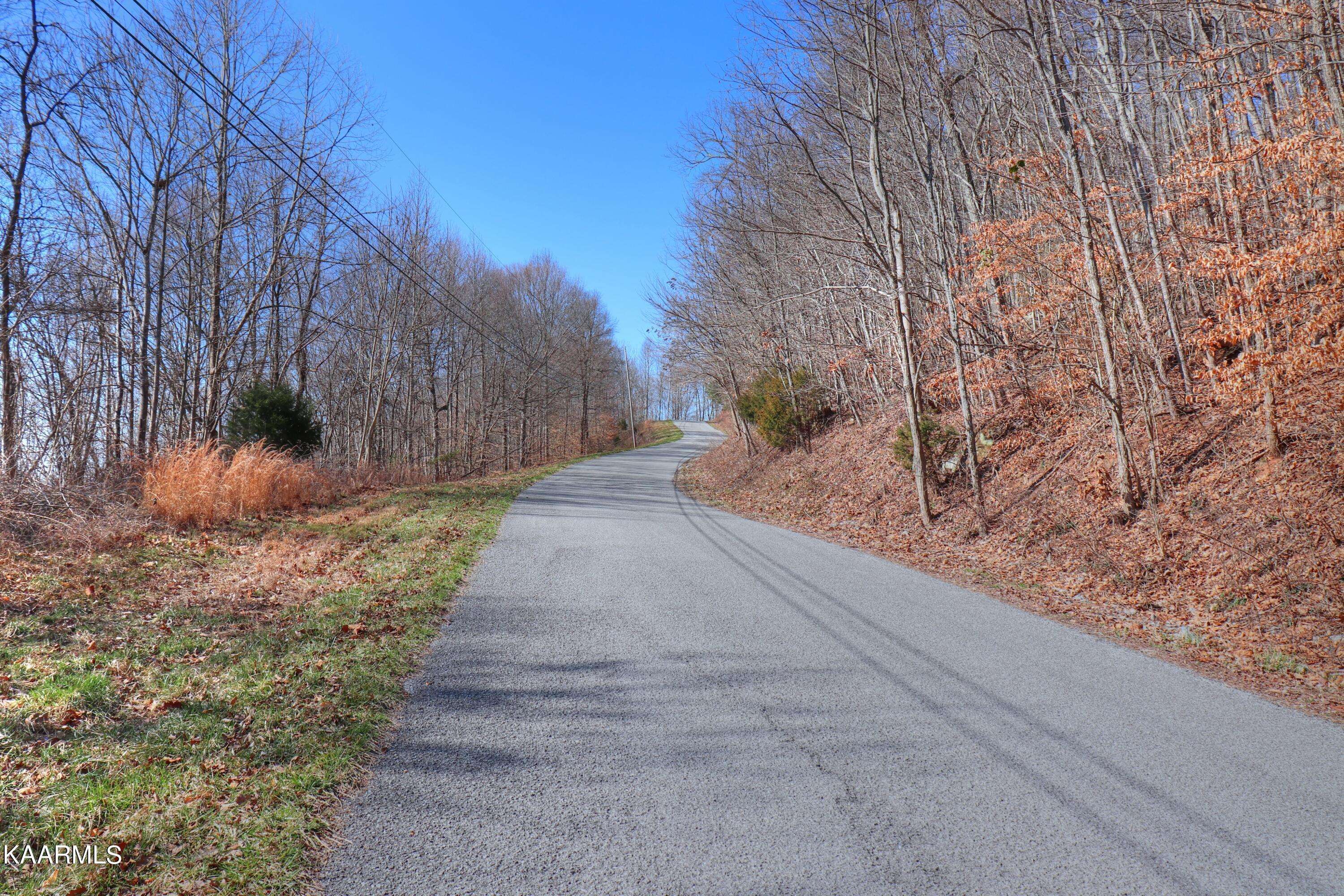 New Tazewell, TN 37825,Lot 130 Whistle Valley Rd