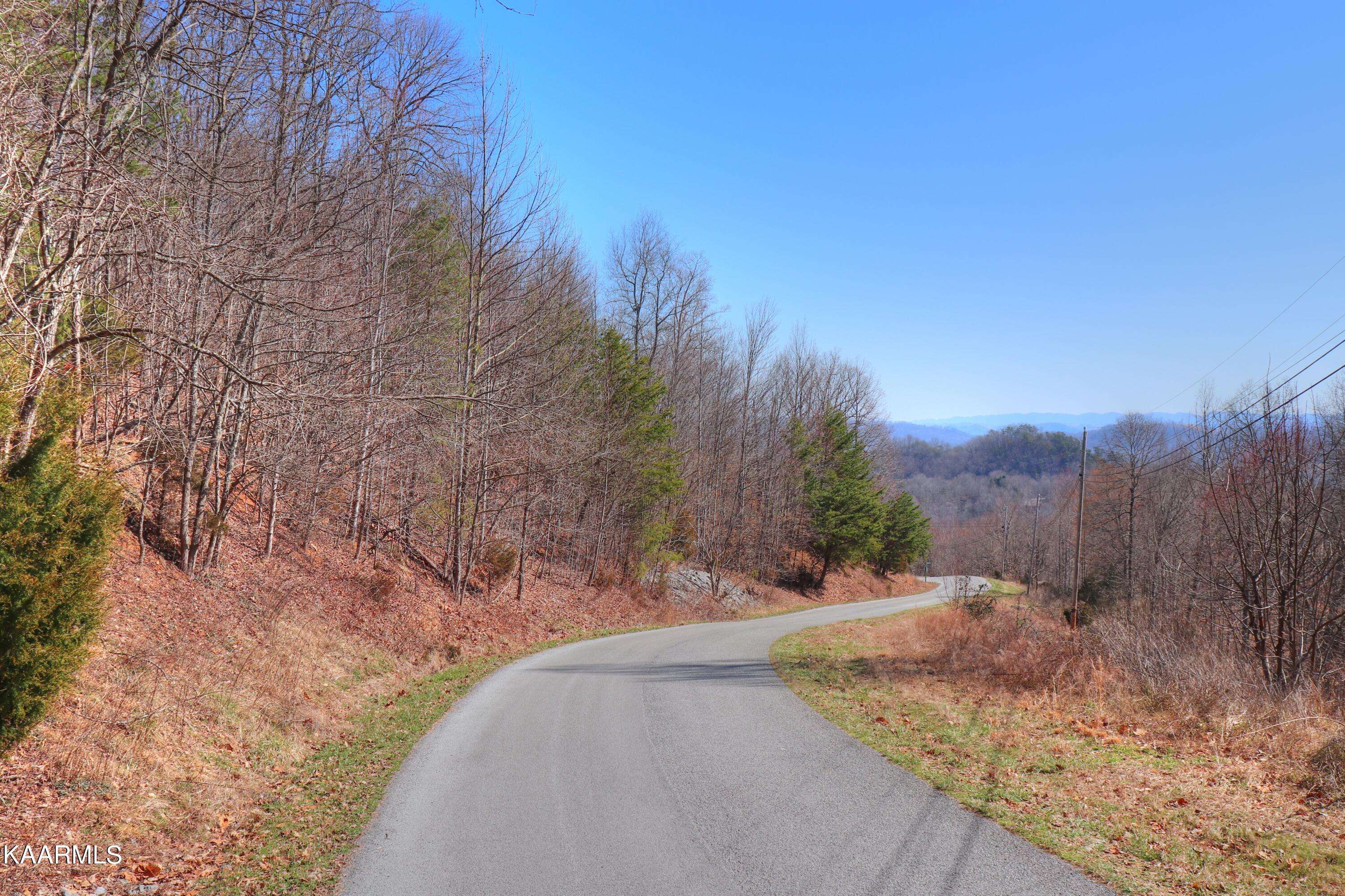 New Tazewell, TN 37825,Lot 130 Whistle Valley Rd