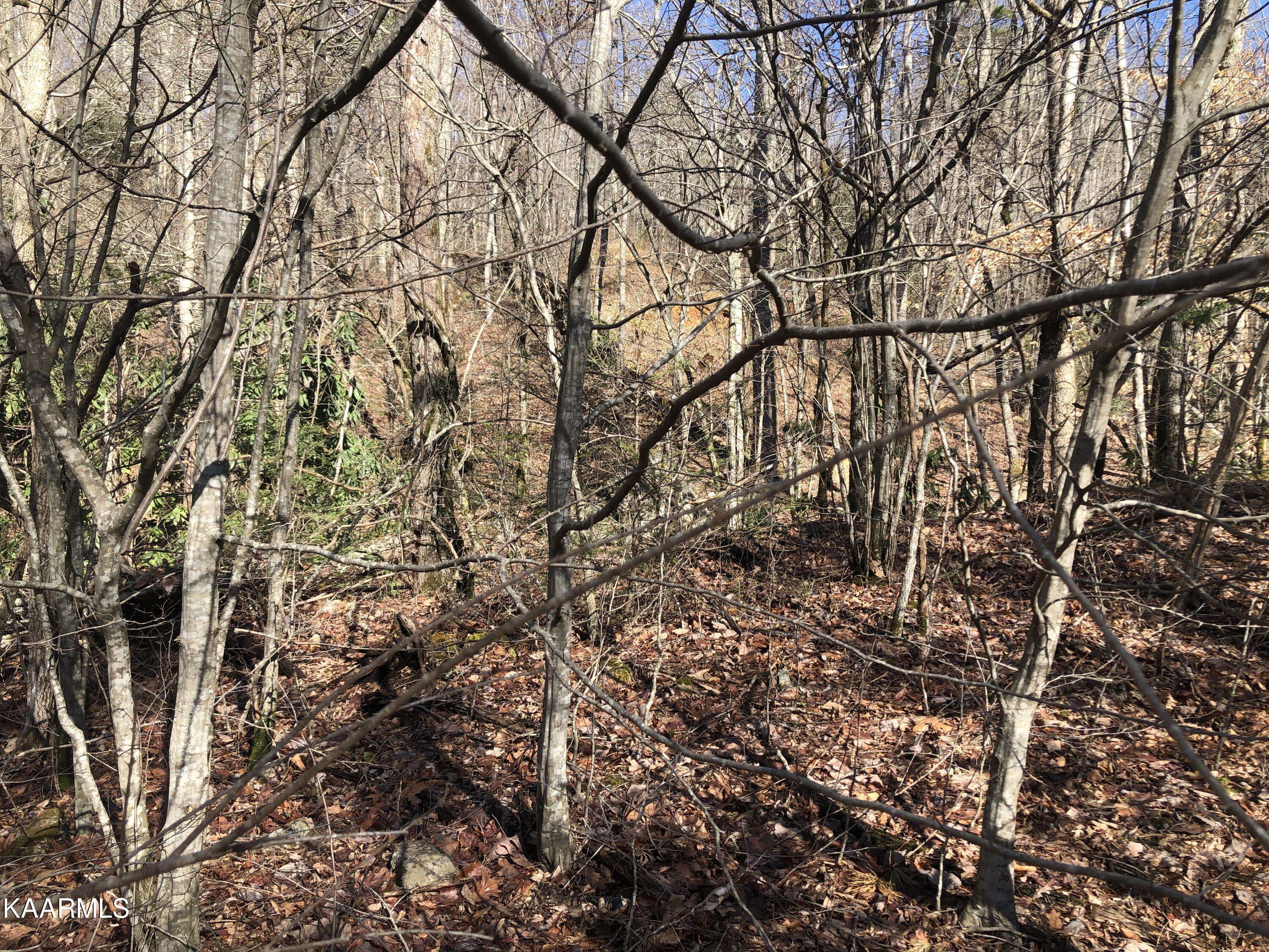 Sevierville, TN 37876,Lot 23 Alpine DR