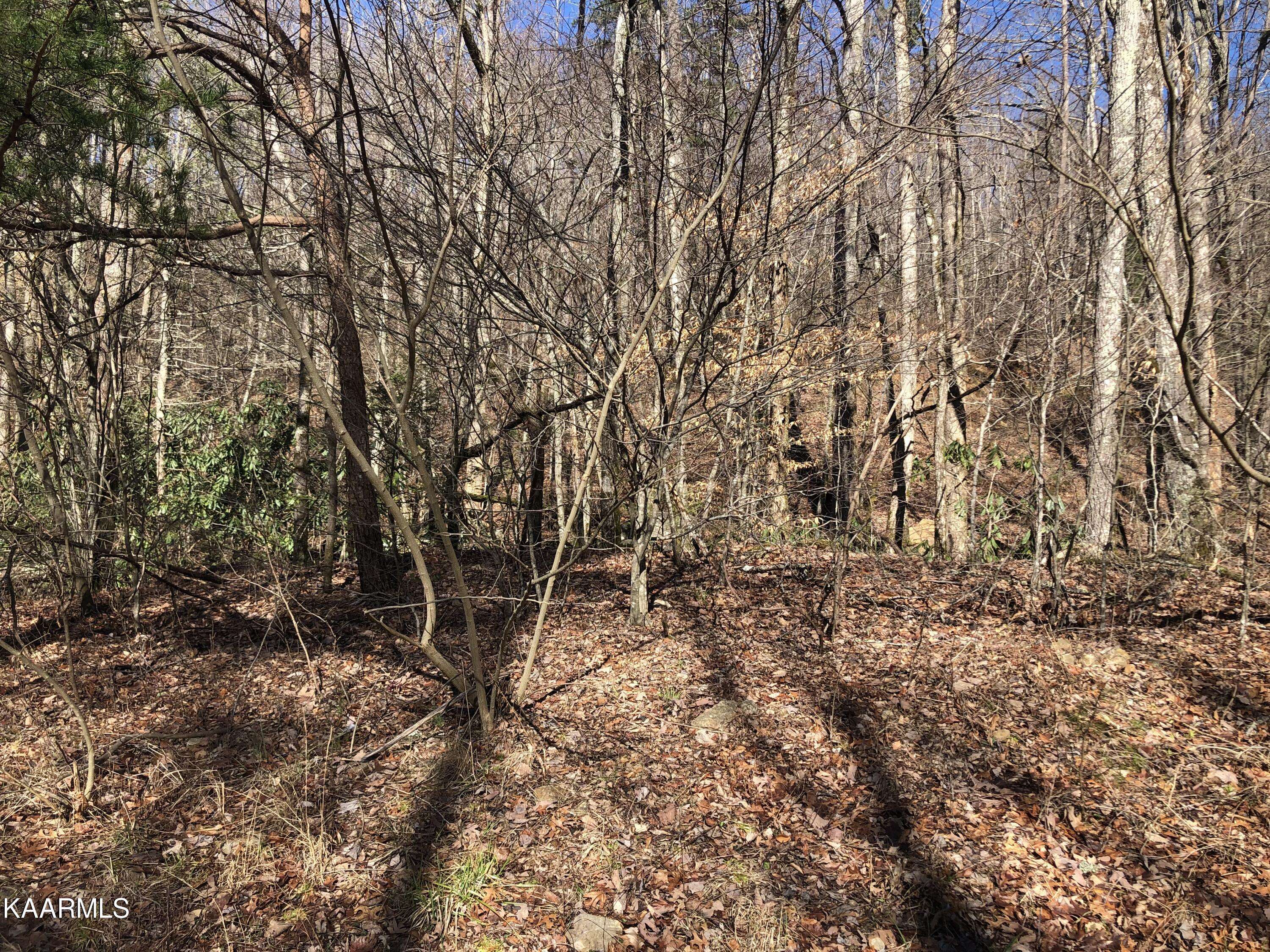 Sevierville, TN 37876,Lot 23 Alpine DR