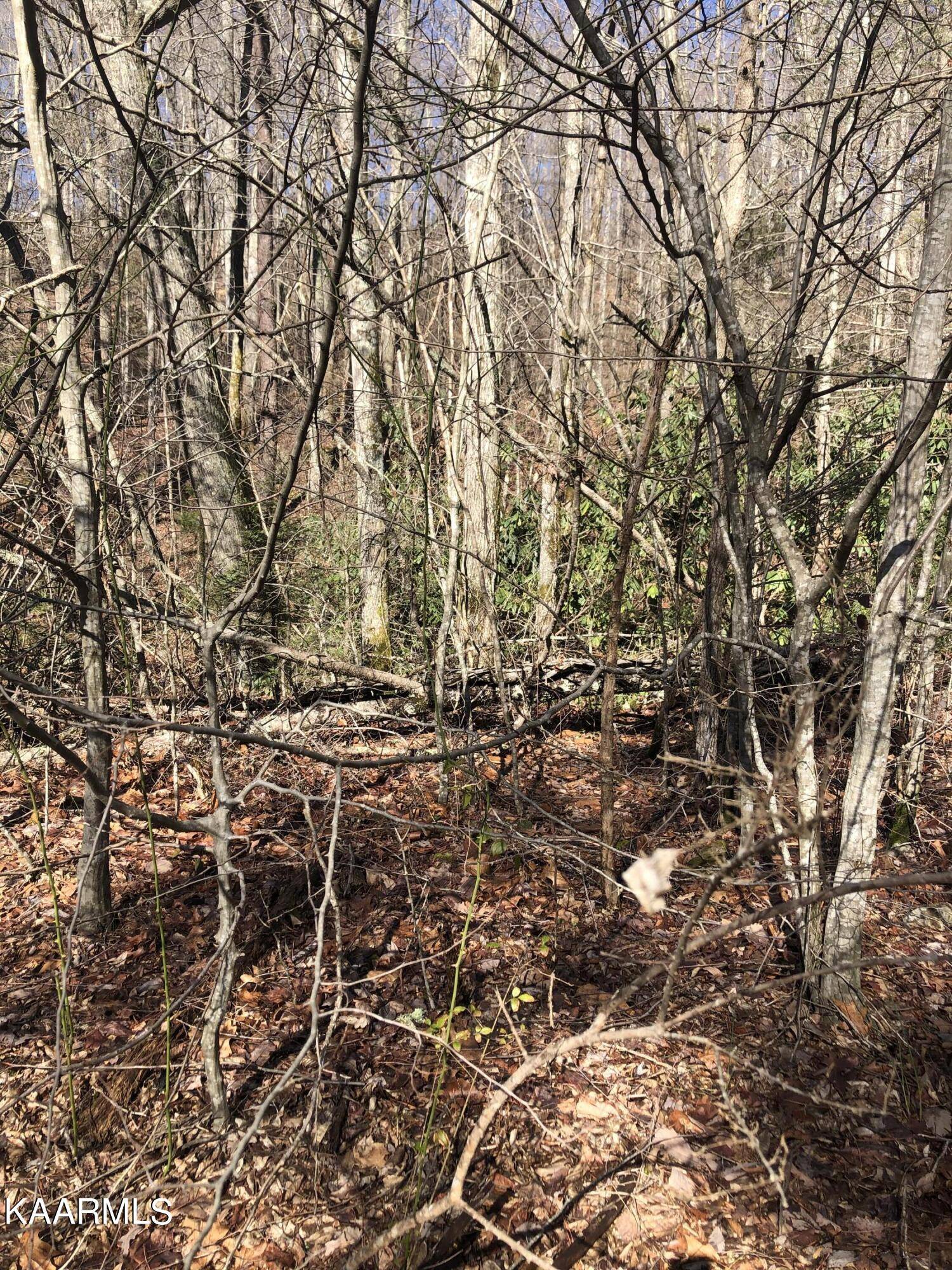 Sevierville, TN 37876,Lot 23 Alpine DR