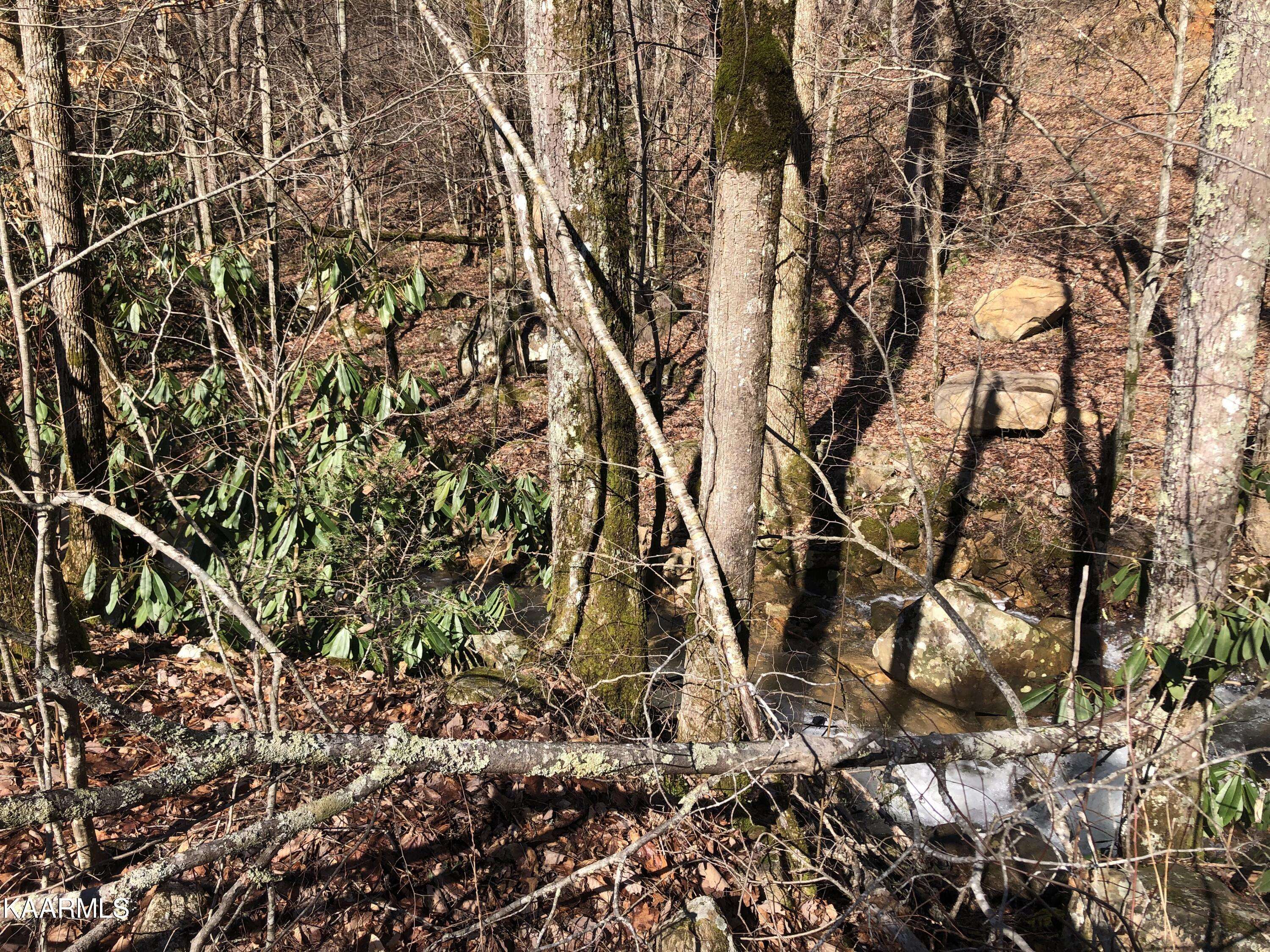 Sevierville, TN 37876,Lot 23 Alpine DR