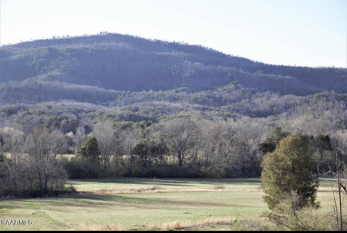 Tellico Plains, TN 37385,Creek Rd