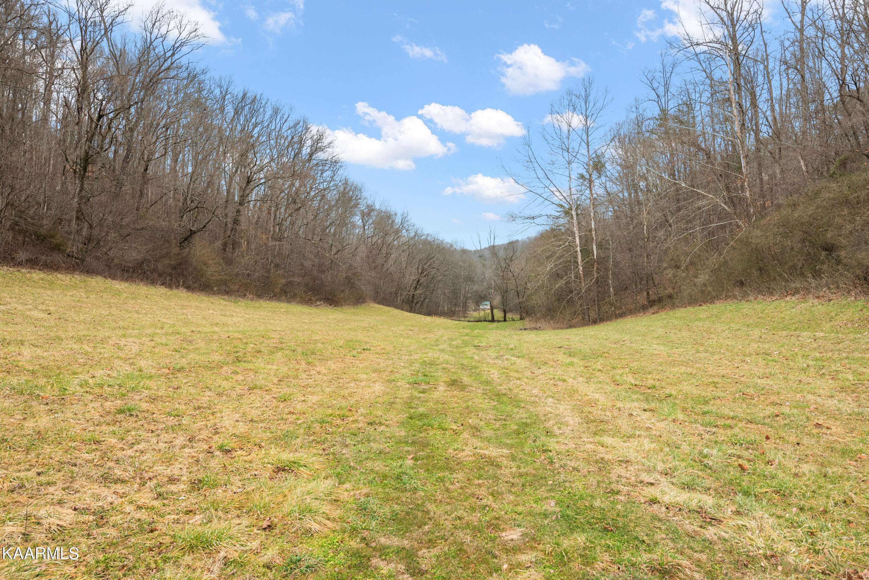 Rocky Top, TN 37769,ID 054 Echo Valley