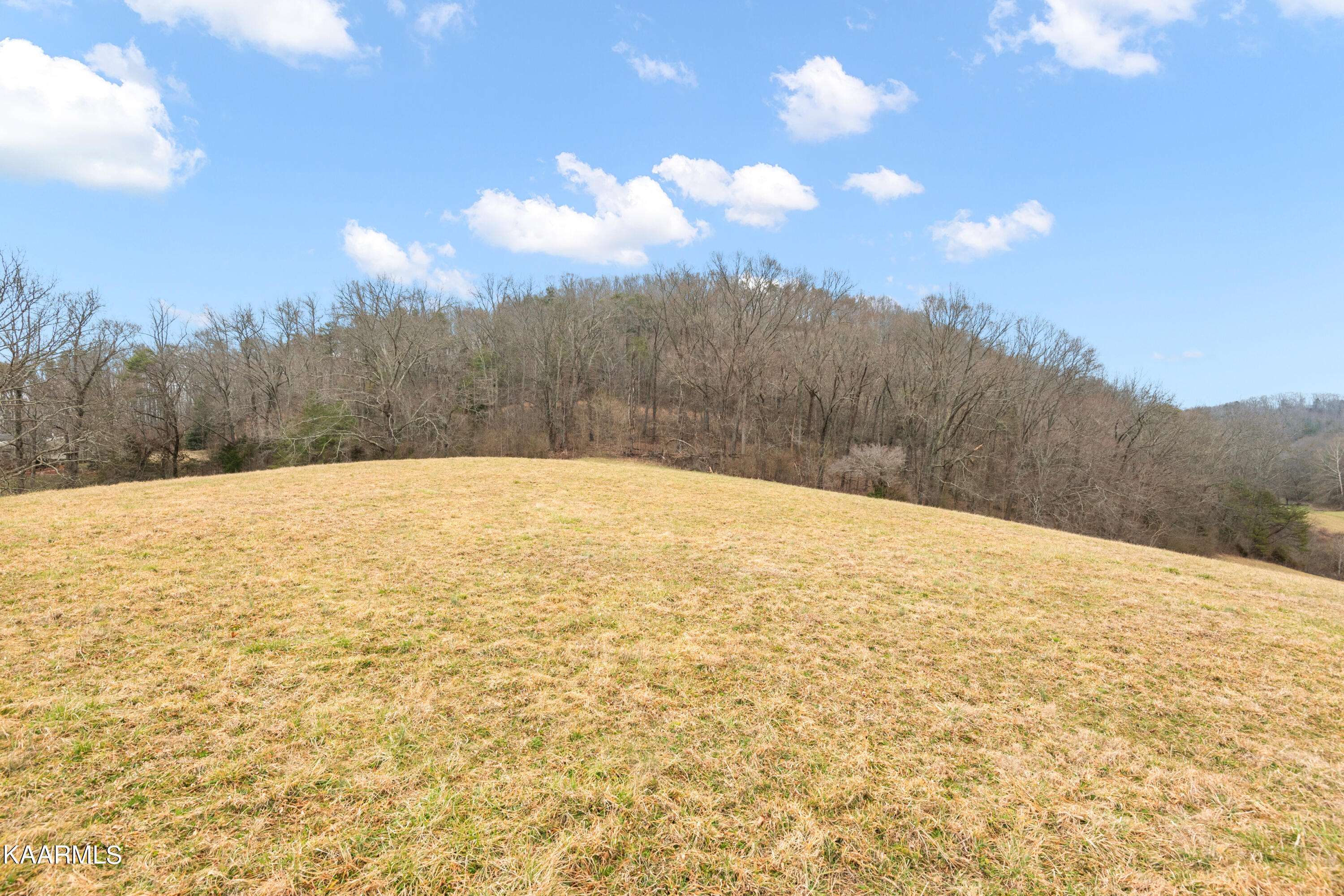 Rocky Top, TN 37769,ID 054 Echo Valley