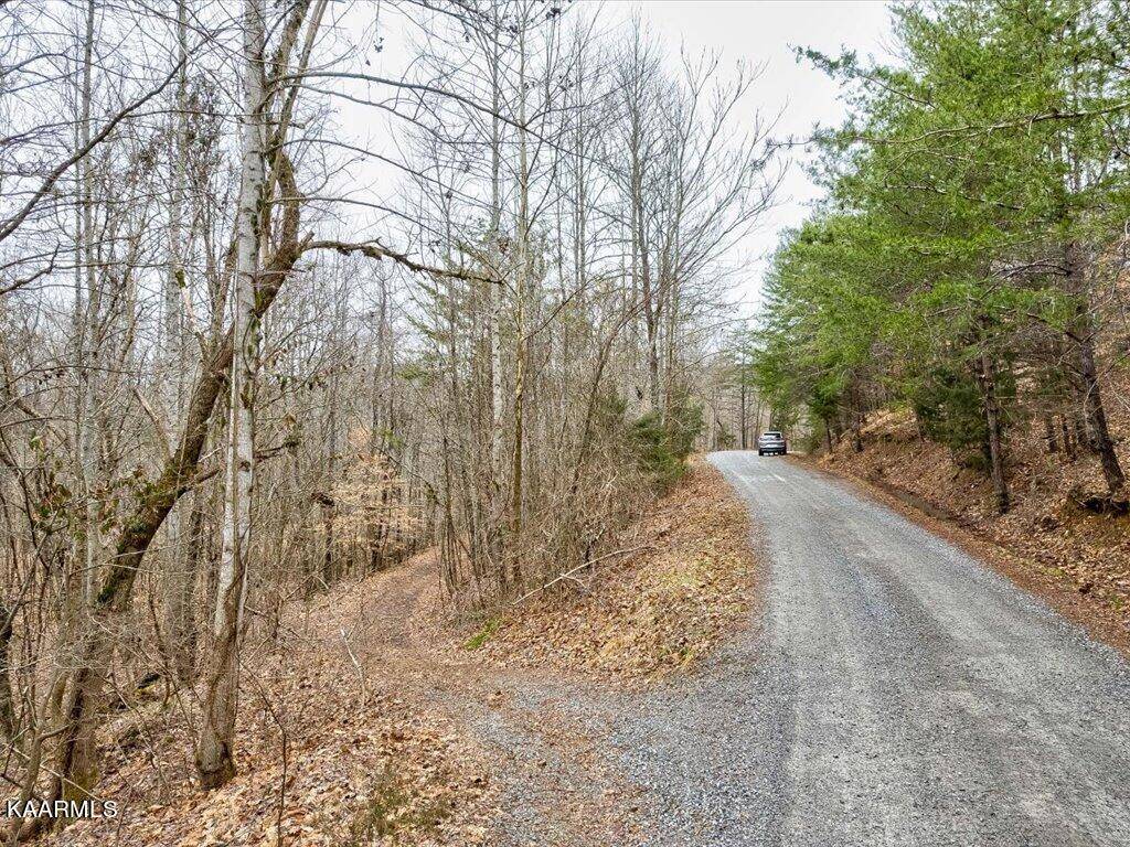 New Tazewell, TN 37825,Lot 282 Bluff View Rd