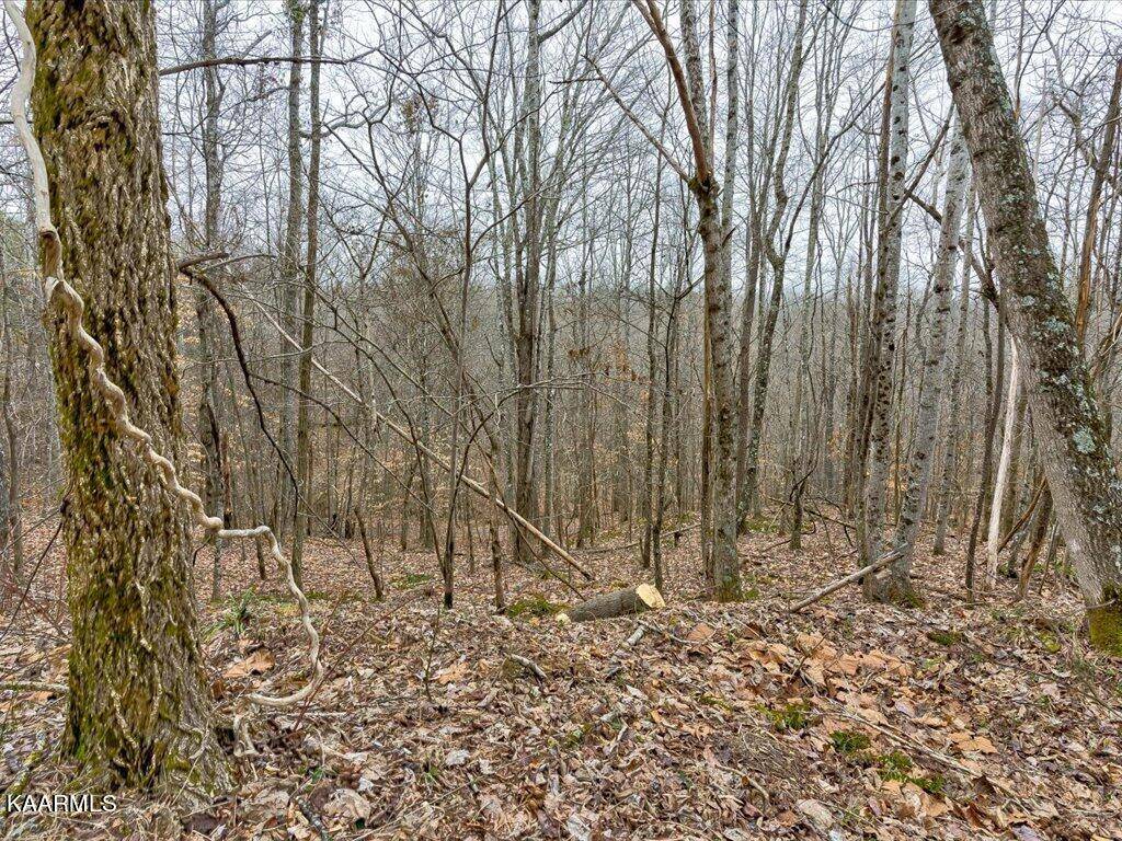 New Tazewell, TN 37825,Lot 282 Bluff View Rd