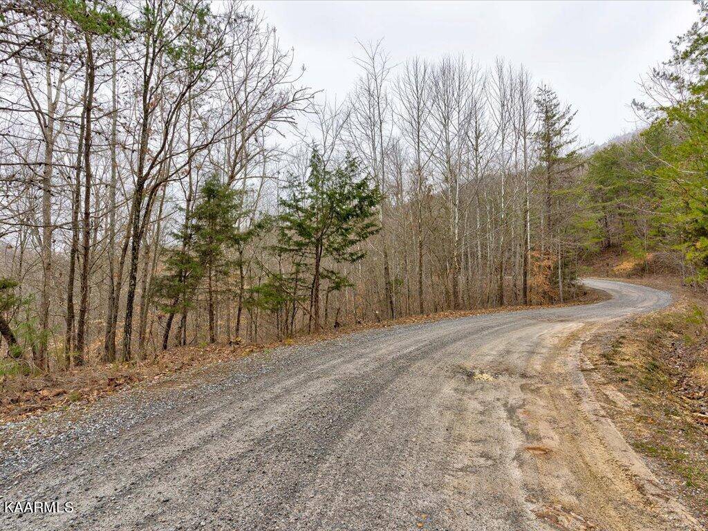 New Tazewell, TN 37825,Lot 282 Bluff View Rd