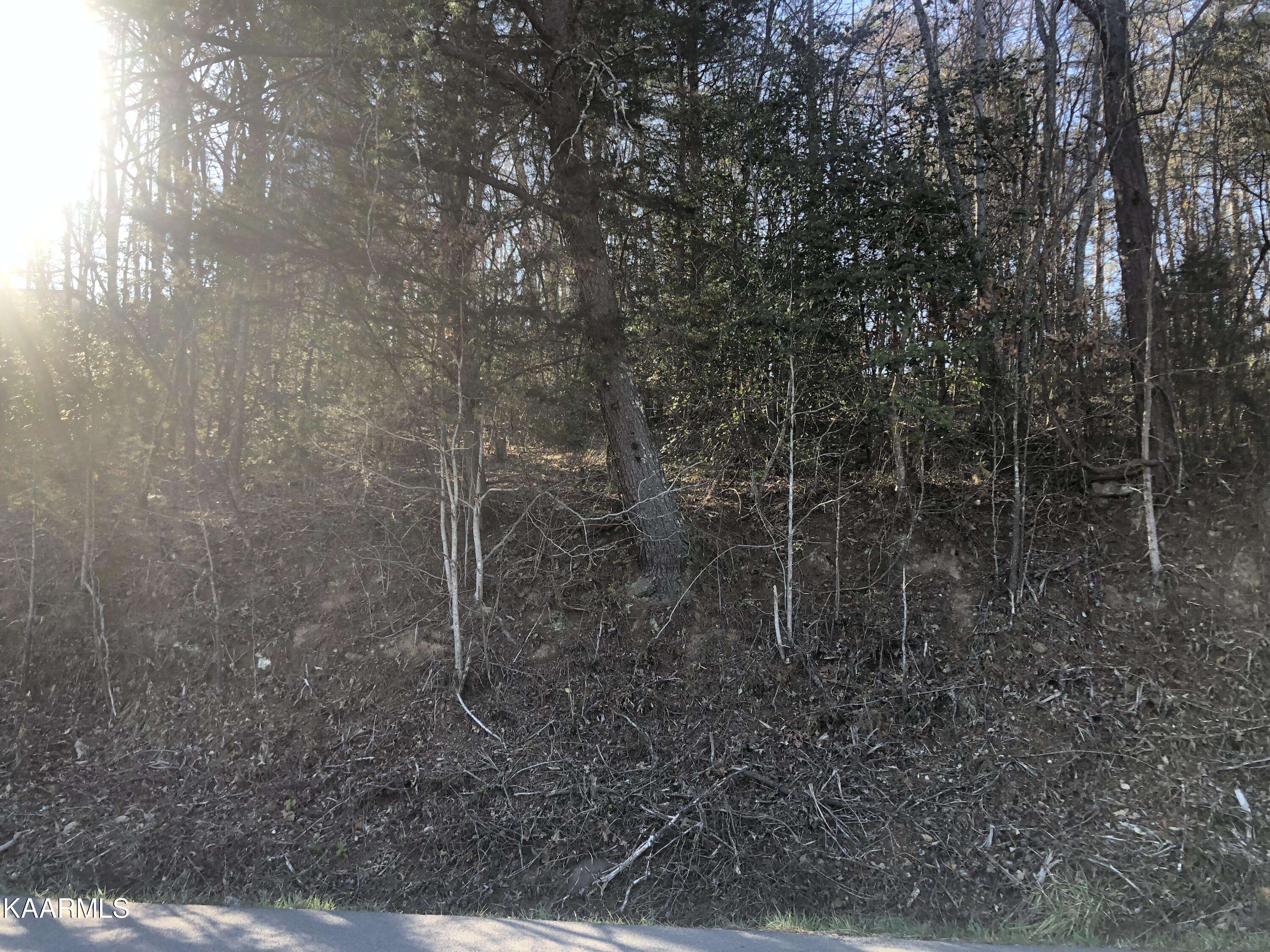 Sevierville, TN 37876,Lot 30&31 Alpine DR