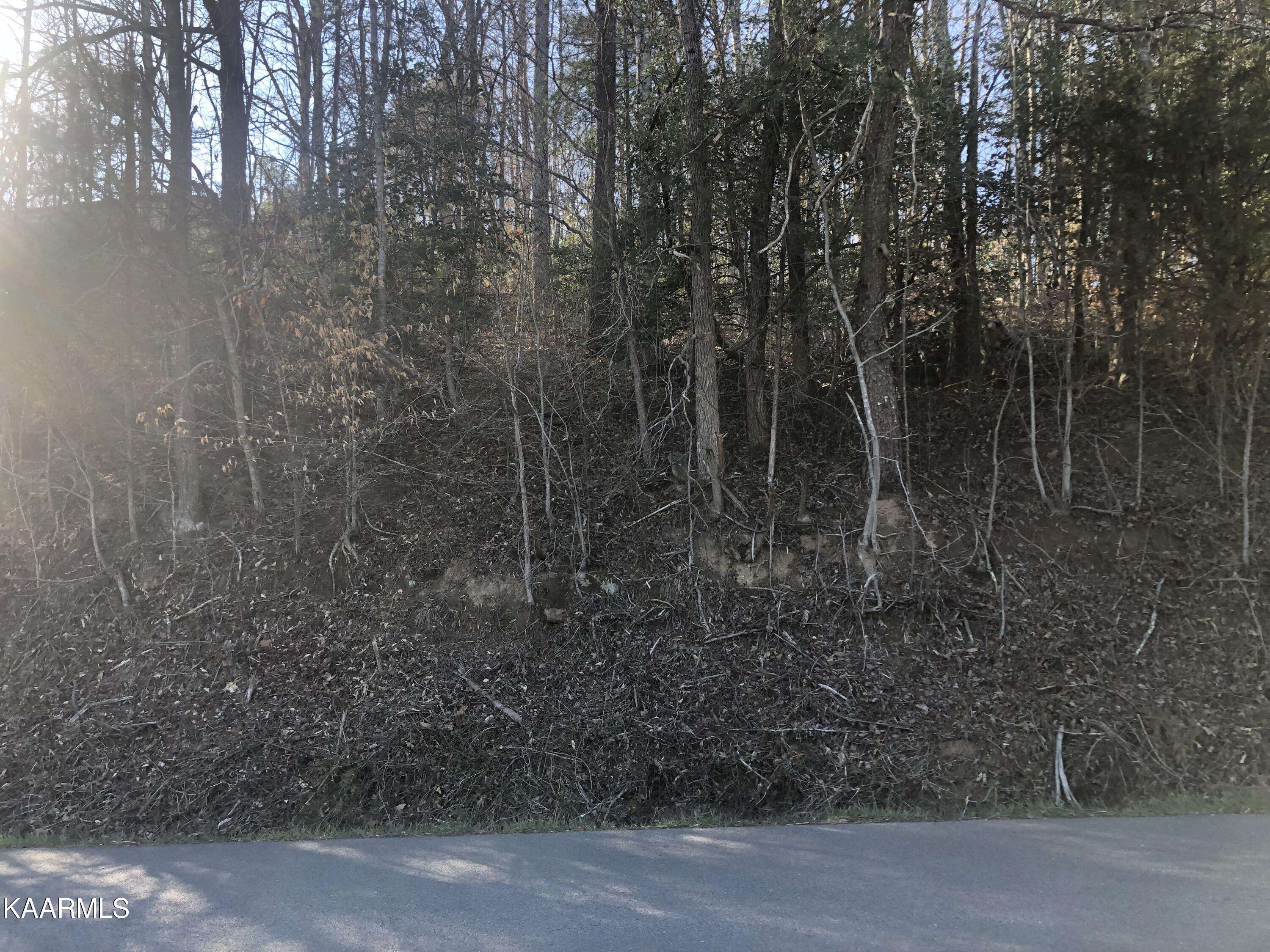 Sevierville, TN 37876,Lot 30&31 Alpine DR