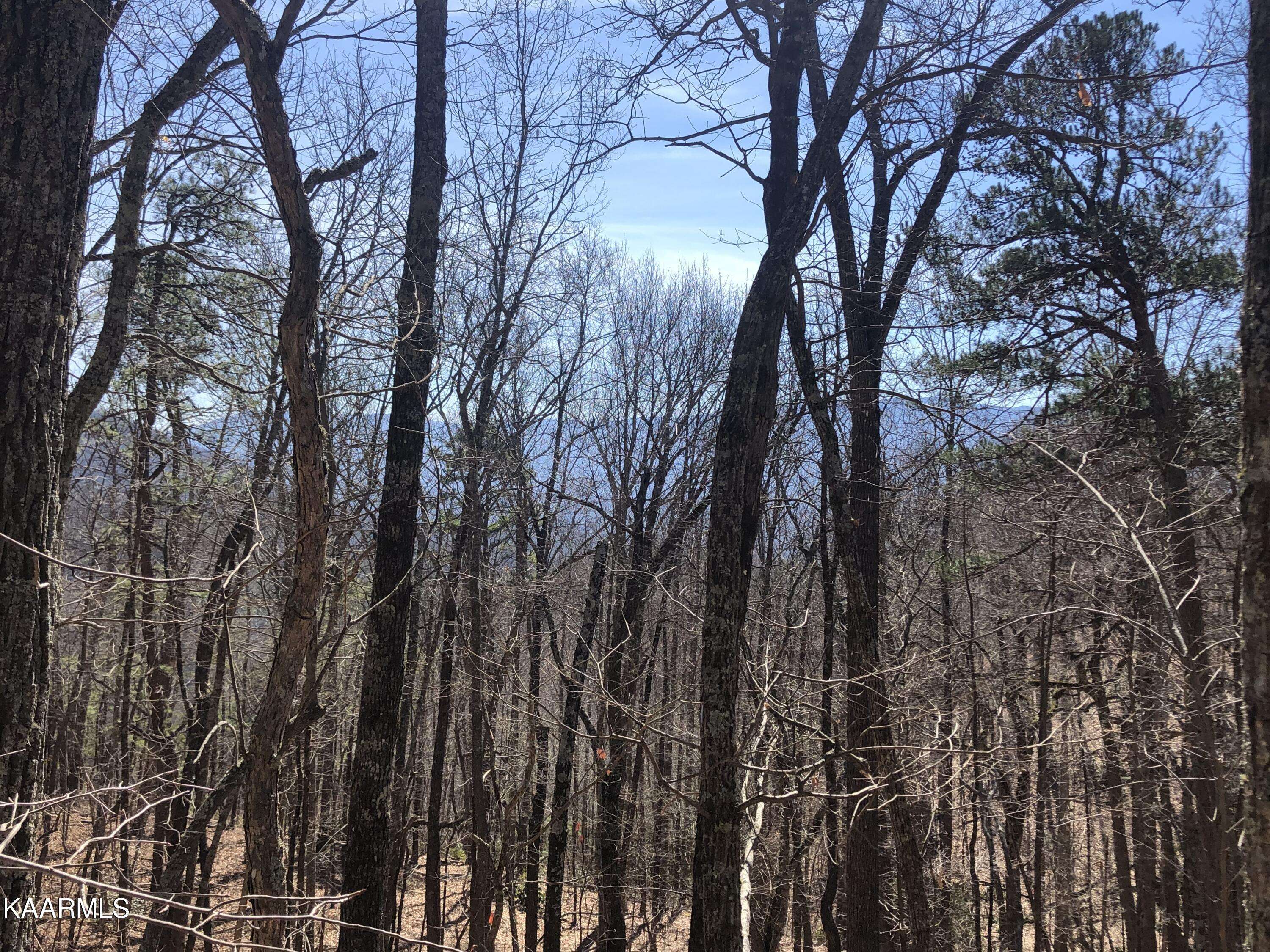 Sevierville, TN 37876,Lot 91 Silverbell DR