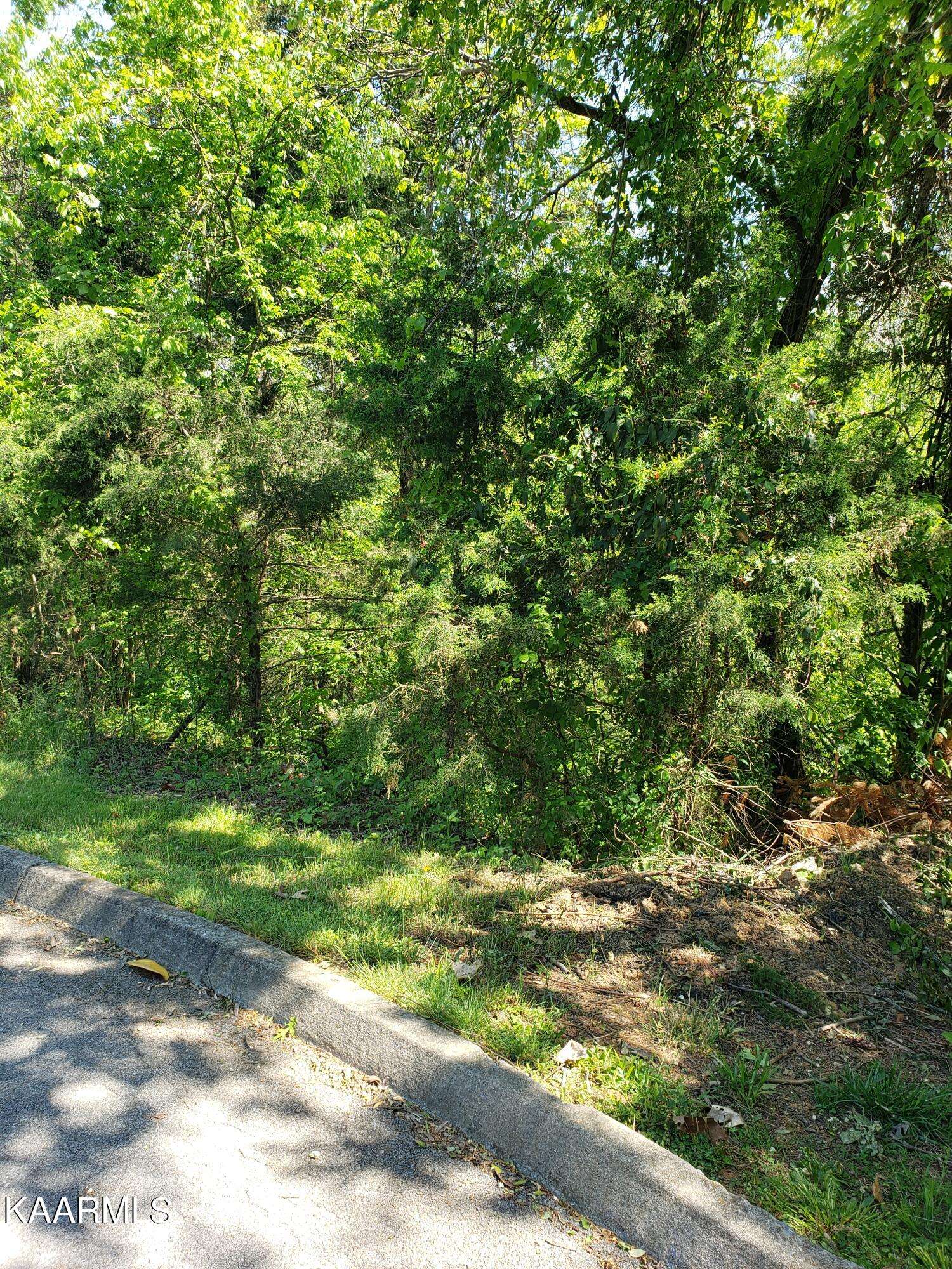 Dandridge, TN 37725,Lot 16 Cove View LN