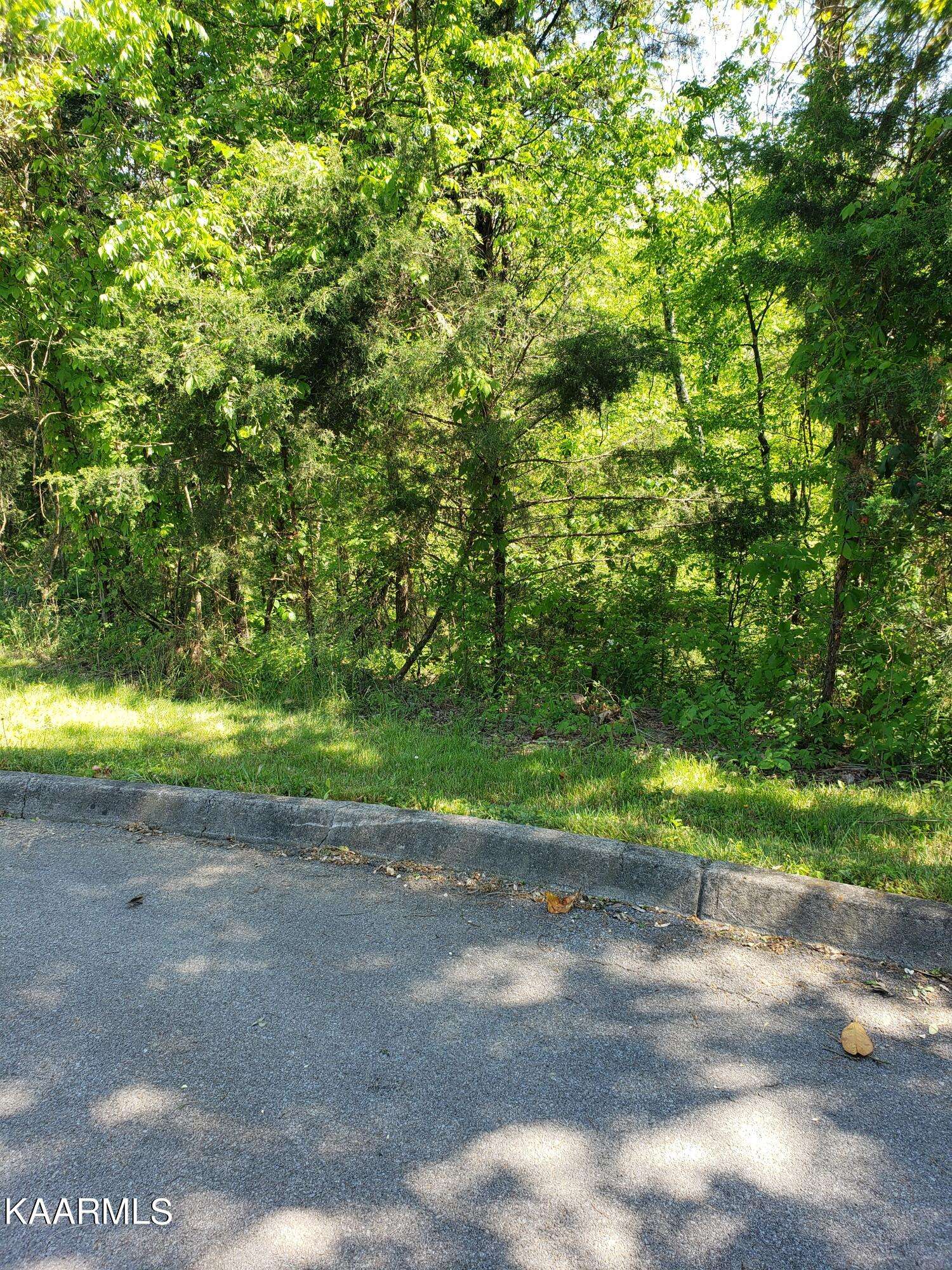 Dandridge, TN 37725,Lot 16 Cove View LN