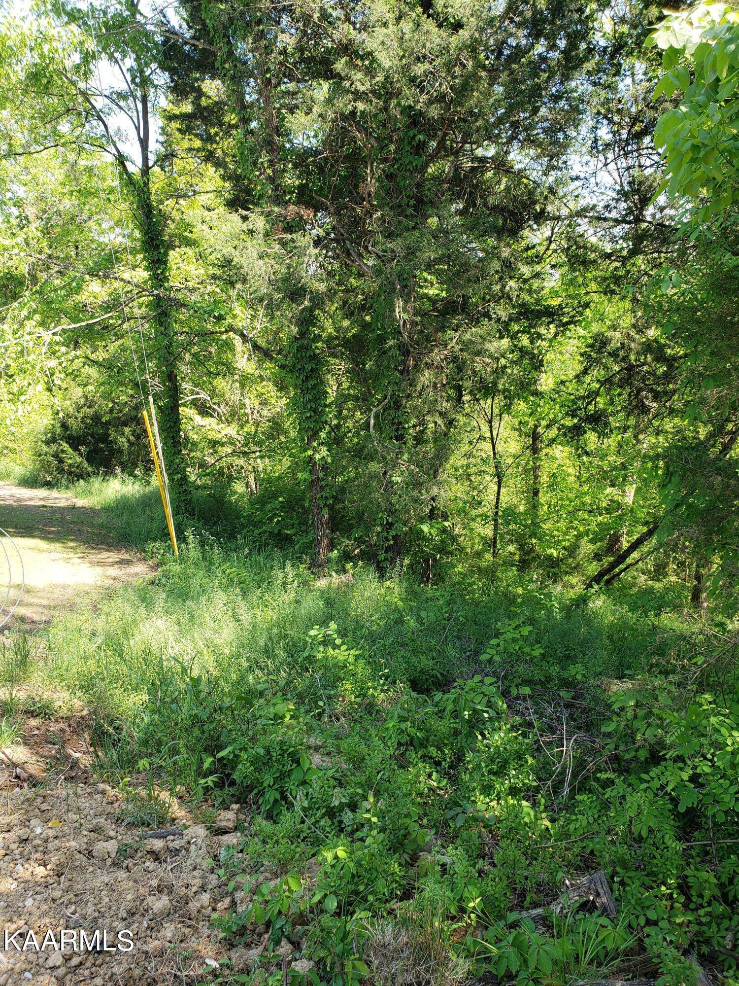 Dandridge, TN 37725,Lot 16 Cove View LN