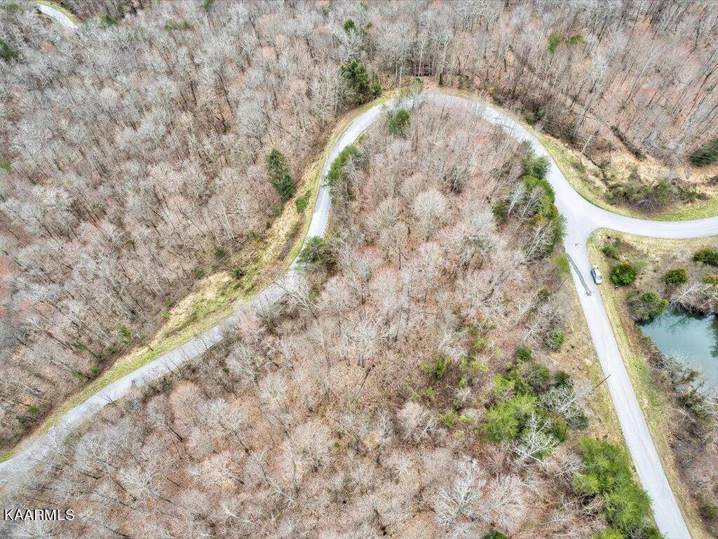 New Tazewell, TN 37825,Lot 117 Chimney Rock Rd