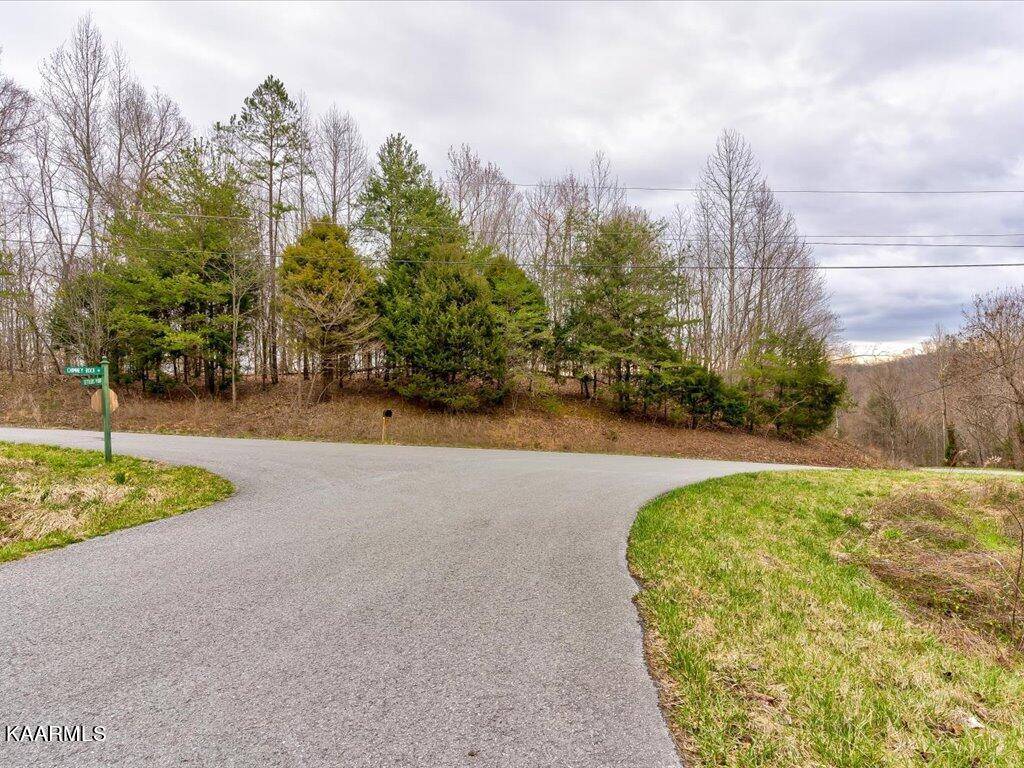 New Tazewell, TN 37825,Lot 117 Chimney Rock Rd