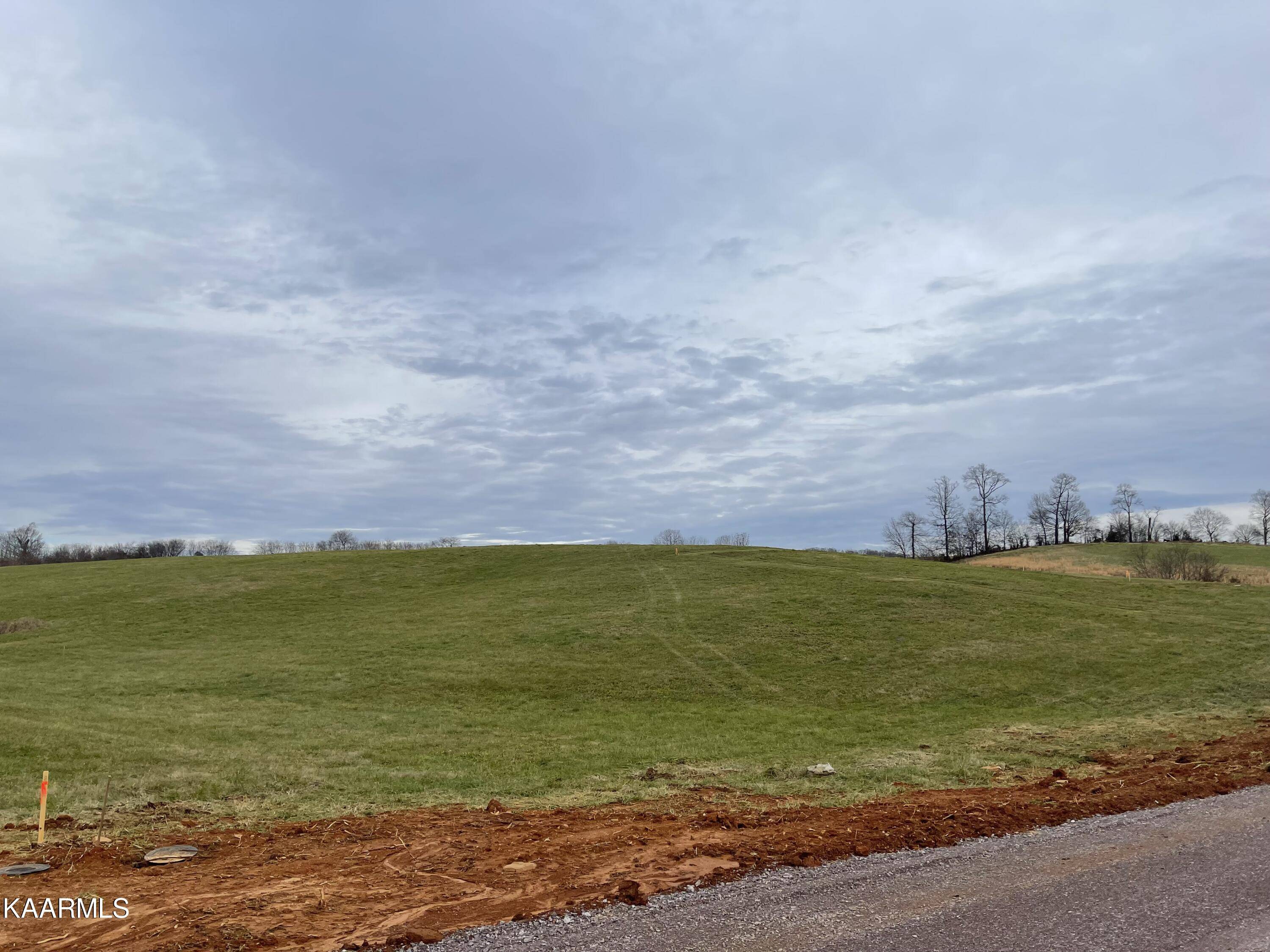 Rutledge, TN 37861,Lot 10 Howell River Rd