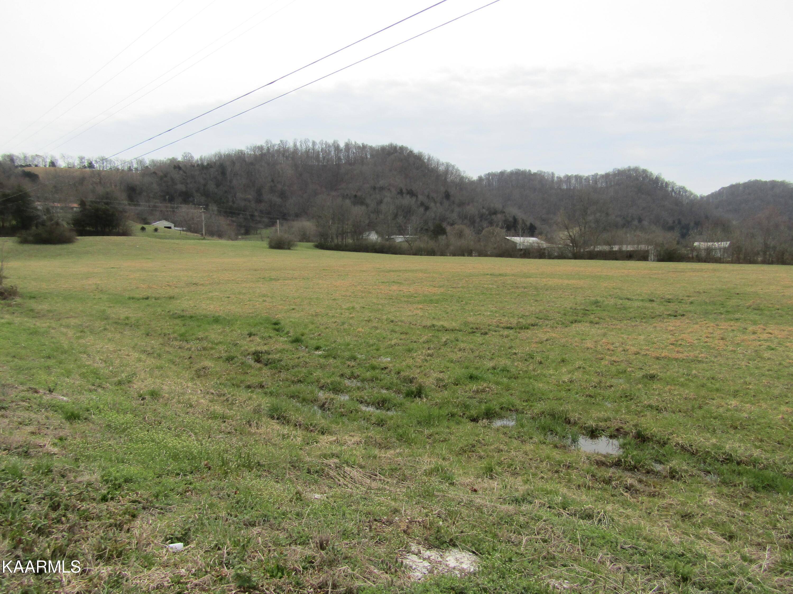 Celina, TN 38551,Gainesboro Hwy Hwy