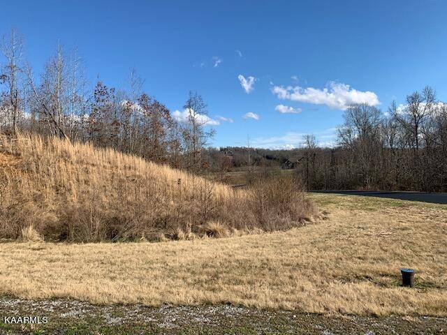 Rockwood, TN 37854,W. Mountain Dr, Lot 381