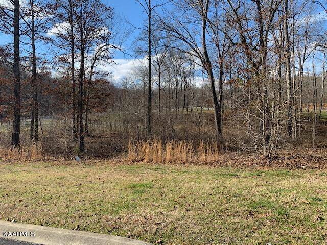 Rockwood, TN 37854,Appaloosa, Lot 238