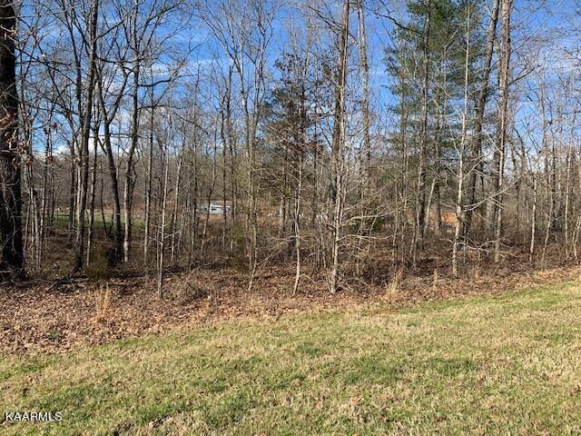 Rockwood, TN 37854,Appaloosa, Lot 238