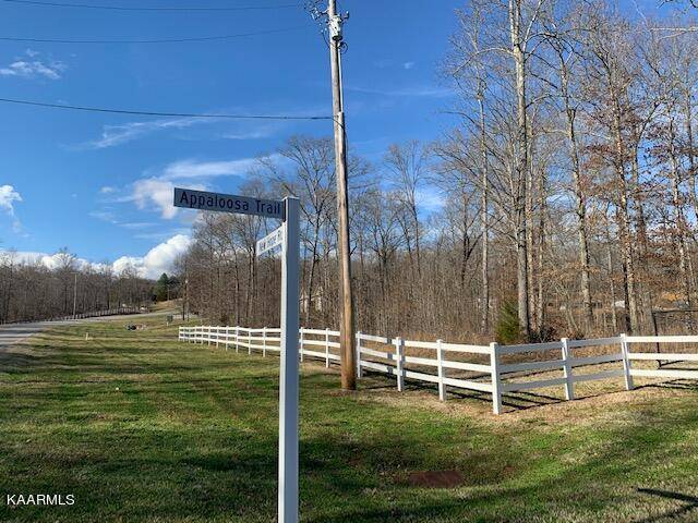 Rockwood, TN 37854,Appaloosa, Lot 238