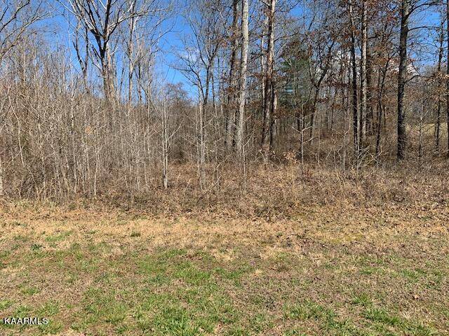 Rockwood, TN 37854,Appaloosa, Lot 238