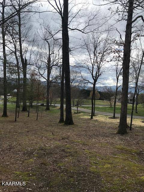 Walland, TN 37886,Lot 12-R2 Adams Rd