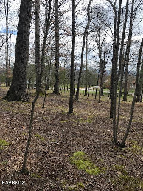 Walland, TN 37886,Lot 12-R2 Adams Rd