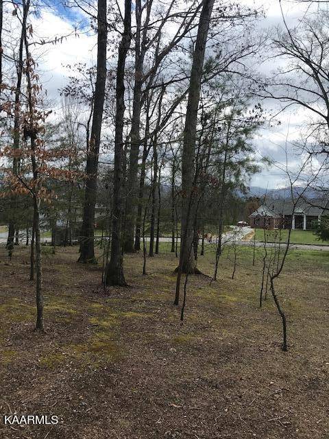 Walland, TN 37886,Lot 12-R2 Adams Rd