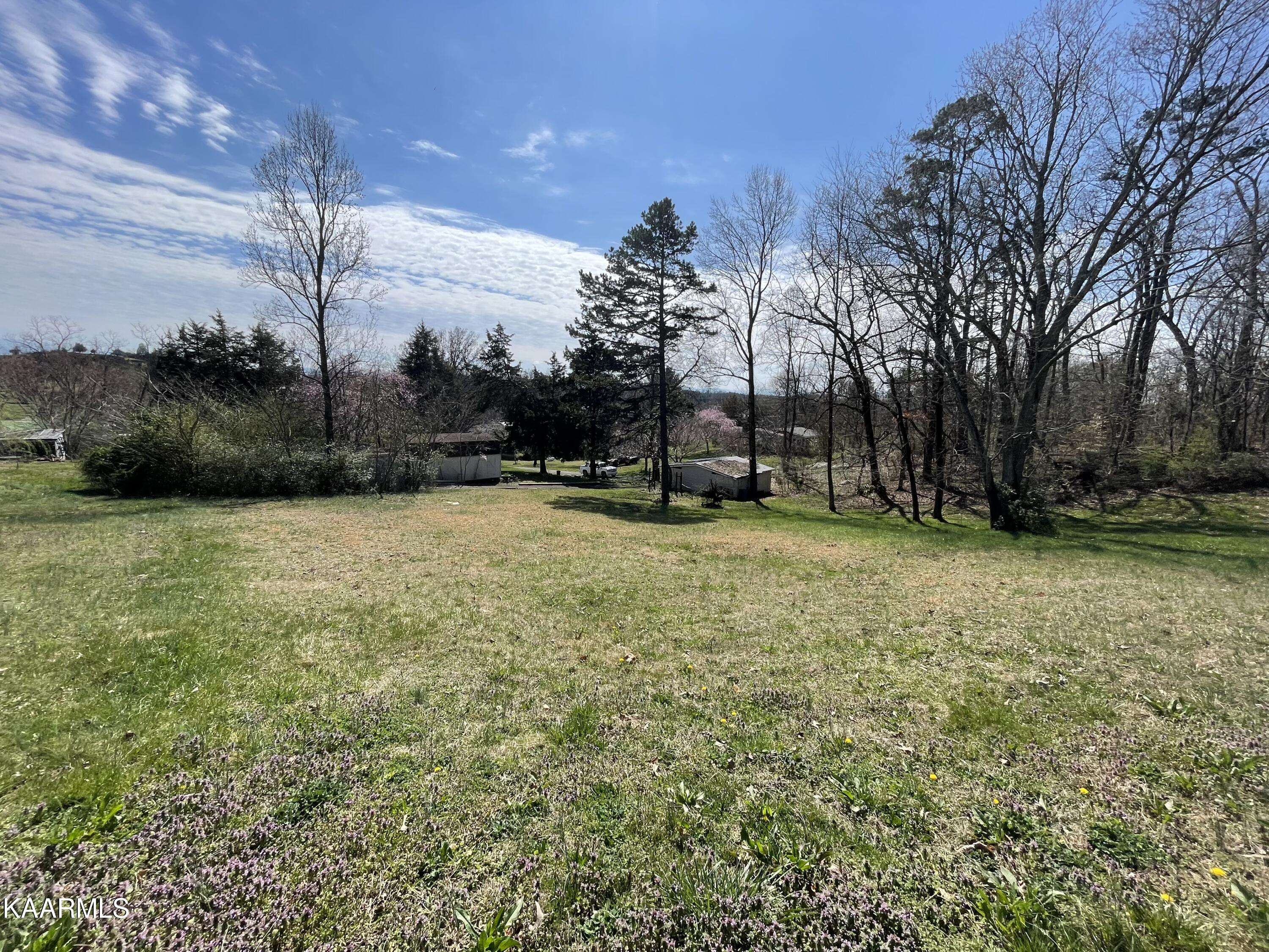 Mosheim, TN 37818,95 Forest LN