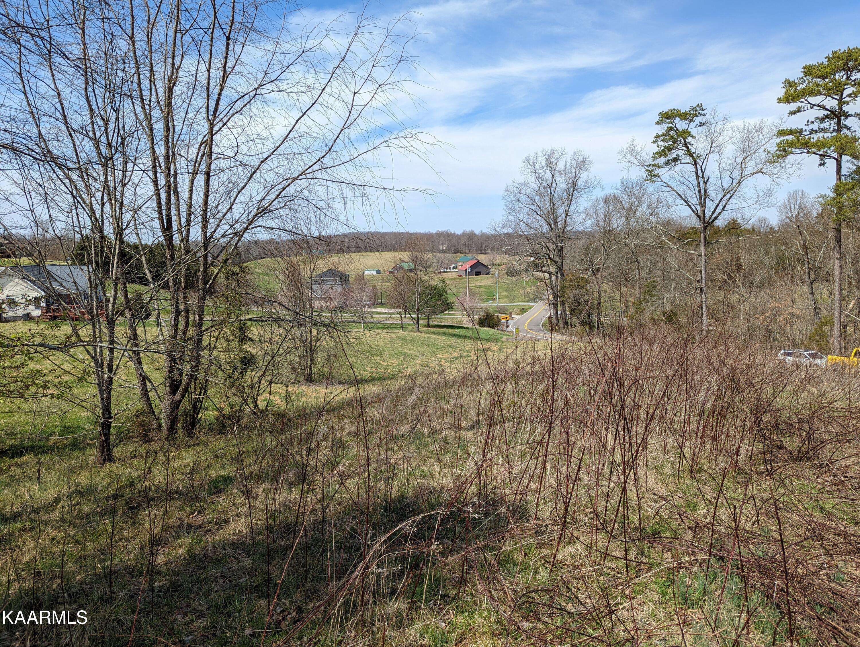 Chuckey, TN 37641,Lot 51 Chuckey PIKE