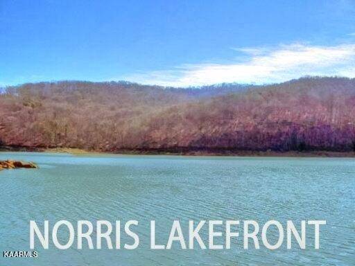 New Tazewell, TN 37825,Lot 840 Driftwood CT