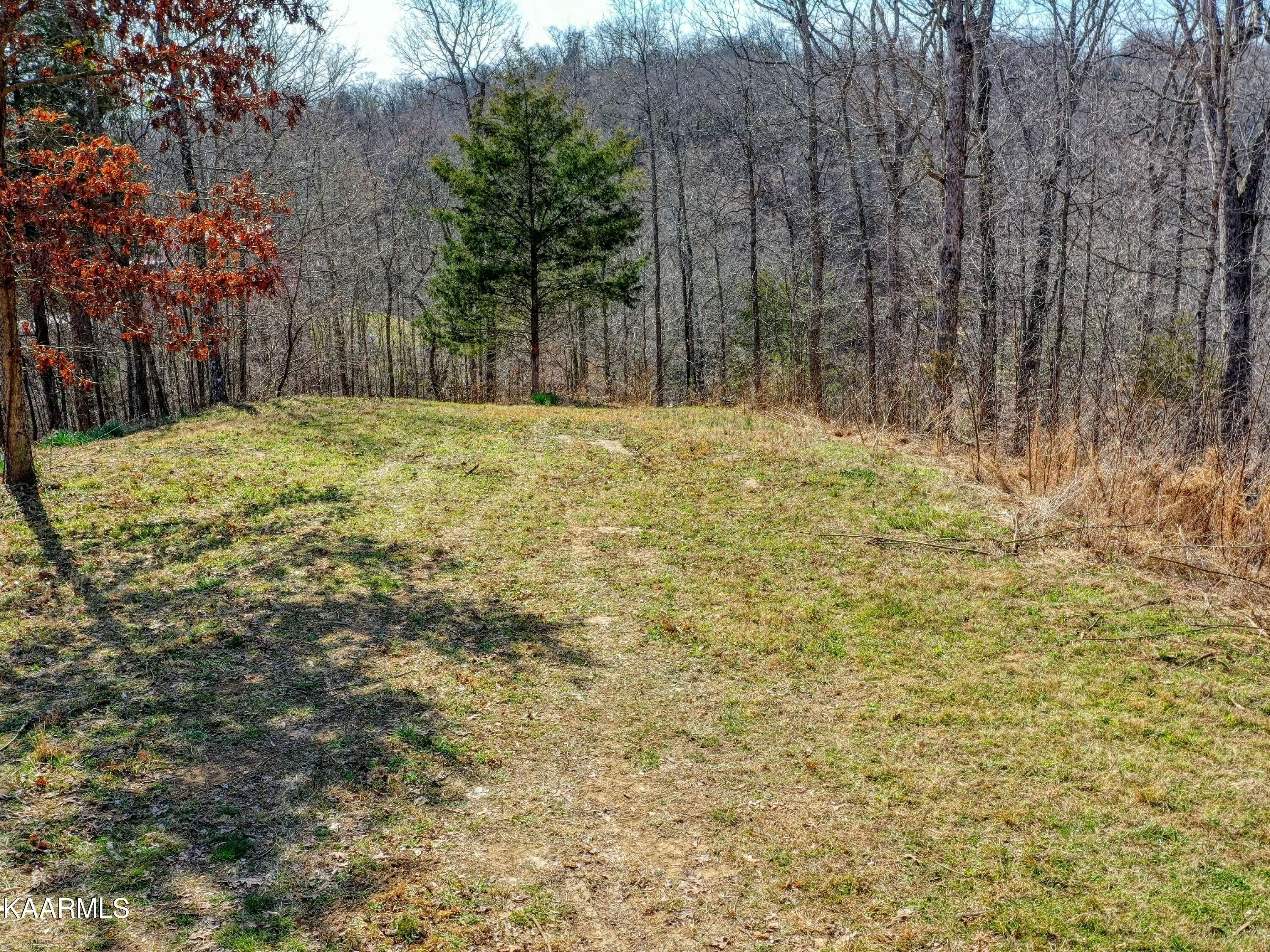 Baneberry, TN 37890,Lot 1B Virginia CT